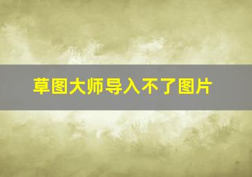 草图大师导入不了图片