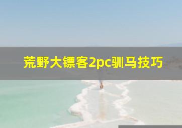 荒野大镖客2pc驯马技巧