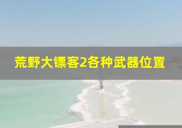 荒野大镖客2各种武器位置