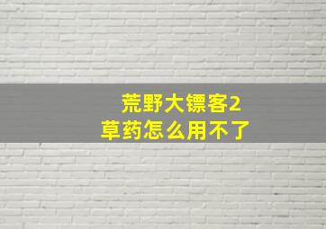 荒野大镖客2草药怎么用不了