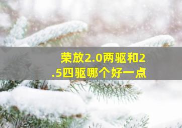 荣放2.0两驱和2.5四驱哪个好一点