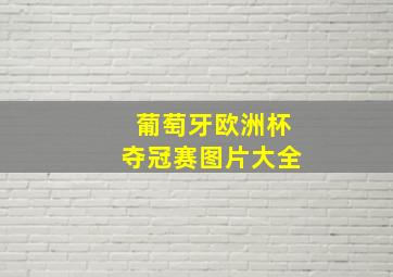 葡萄牙欧洲杯夺冠赛图片大全