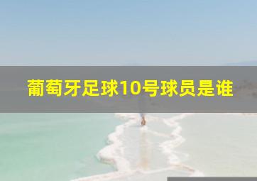 葡萄牙足球10号球员是谁