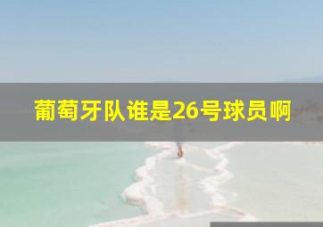 葡萄牙队谁是26号球员啊