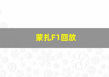 蒙扎F1回放