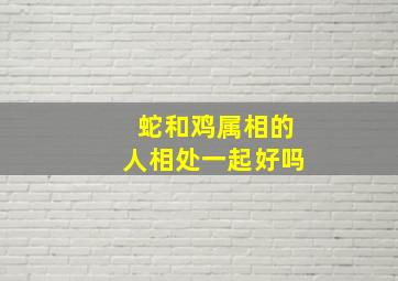 蛇和鸡属相的人相处一起好吗