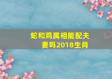 蛇和鸡属相能配夫妻吗2018生肖