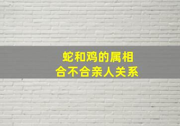 蛇和鸡的属相合不合亲人关系