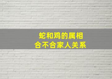 蛇和鸡的属相合不合家人关系