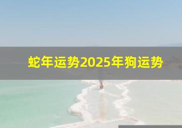 蛇年运势2025年狗运势