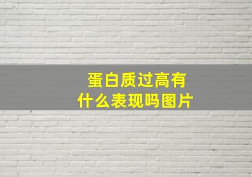 蛋白质过高有什么表现吗图片