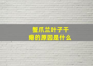 蟹爪兰叶子干瘪的原因是什么