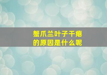 蟹爪兰叶子干瘪的原因是什么呢