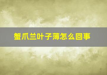 蟹爪兰叶子薄怎么回事