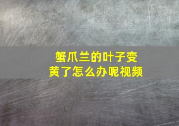 蟹爪兰的叶子变黄了怎么办呢视频