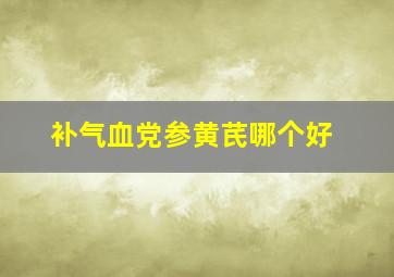 补气血党参黄芪哪个好