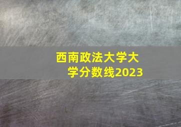 西南政法大学大学分数线2023