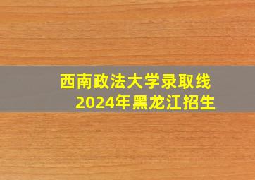 西南政法大学录取线2024年黑龙江招生