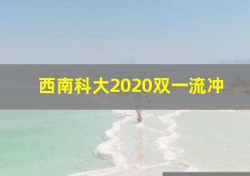 西南科大2020双一流冲