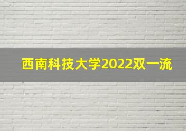 西南科技大学2022双一流