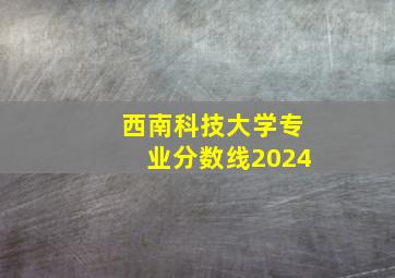 西南科技大学专业分数线2024