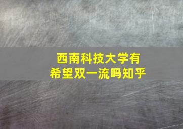 西南科技大学有希望双一流吗知乎