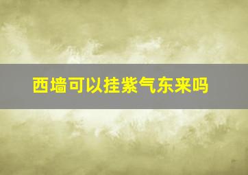 西墙可以挂紫气东来吗