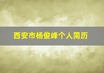 西安市杨俊峰个人简历