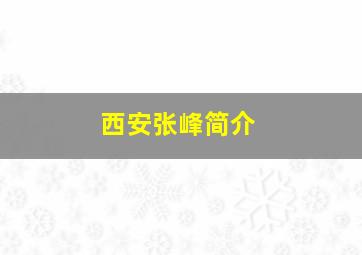 西安张峰简介