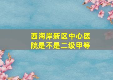 西海岸新区中心医院是不是二级甲等