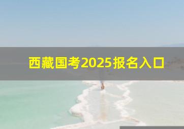 西藏国考2025报名入口