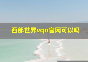 西部世界vqn官网可以吗