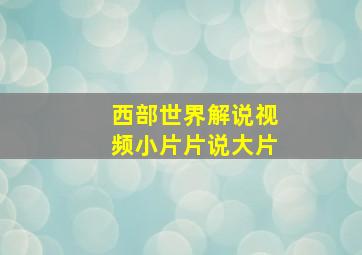 西部世界解说视频小片片说大片