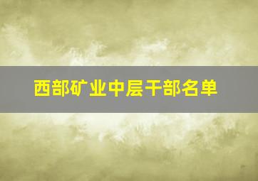 西部矿业中层干部名单