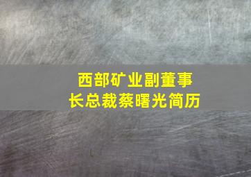 西部矿业副董事长总裁蔡曙光简历