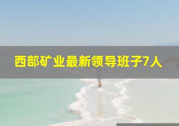 西部矿业最新领导班子7人