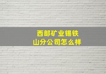 西部矿业锡铁山分公司怎么样