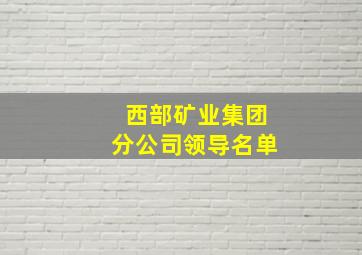 西部矿业集团分公司领导名单