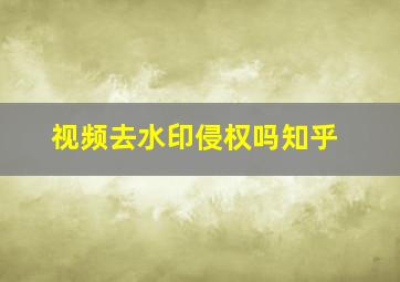 视频去水印侵权吗知乎