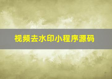 视频去水印小程序源码