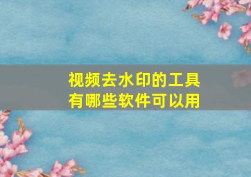 视频去水印的工具有哪些软件可以用