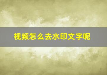 视频怎么去水印文字呢