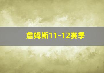 詹姆斯11-12赛季