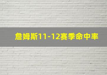 詹姆斯11-12赛季命中率