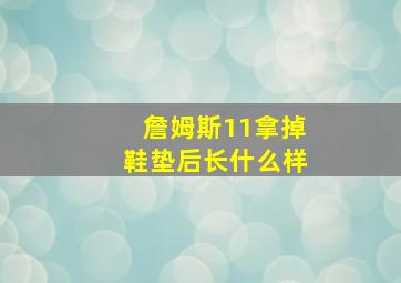 詹姆斯11拿掉鞋垫后长什么样