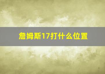 詹姆斯17打什么位置