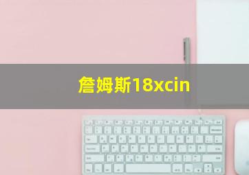 詹姆斯18xcin