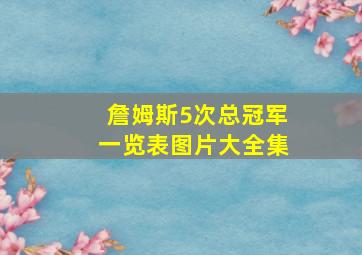 詹姆斯5次总冠军一览表图片大全集