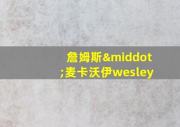 詹姆斯·麦卡沃伊wesley