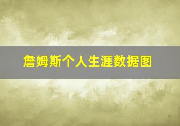 詹姆斯个人生涯数据图